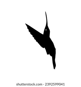 Flying Hummingbird Silhouette, can use Art Illustration, Website, Logo Gram, Pictogram or Graphic Design Element. Vector Illustration
