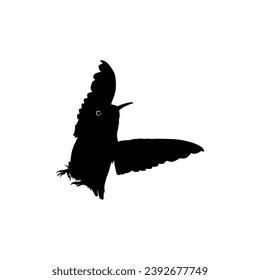 Flying Hummingbird Silhouette, can use Art Illustration, Website, Logo Gram, Pictogram or Graphic Design Element. Vector Illustration