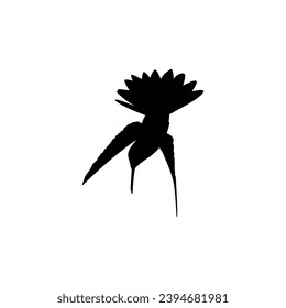 Flying Hummingbird Silhouette, can use Art Illustration, Website, Logo Gram, Pictogram or Graphic Design Element. Vector Illustration