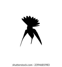 Flying Hummingbird Silhouette, can use Art Illustration, Website, Logo Gram, Pictogram or Graphic Design Element. Vector Illustration