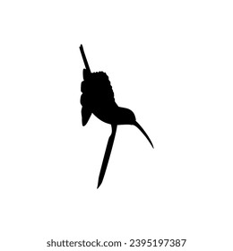 Flying Hummingbird Silhouette, can use Art Illustration, Website, Logo Gram, Pictogram or Graphic Design Element. Vector Illustration