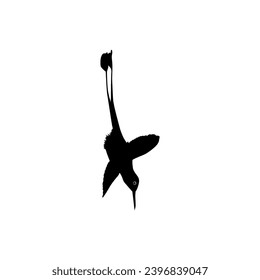 Flying Hummingbird Silhouette, can use Art Illustration, Website, Logo Gram, Pictogram or Graphic Design Element. Vector Illustration