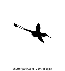 Flying Hummingbird Silhouette, can use Art Illustration, Website, Logo Gram, Pictogram or Graphic Design Element. Vector Illustration