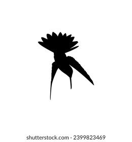 Flying Hummingbird Silhouette, can use Art Illustration, Website, Logo Gram, Pictogram or Graphic Design Element. Vector Illustration