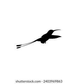 Flying Hummingbird Silhouette, can use Art Illustration, Website, Logo Gram, Pictogram or Graphic Design Element. Vector Illustration