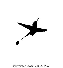 Flying Hummingbird Silhouette, can use Art Illustration, Website, Logo Gram, Pictogram or Graphic Design Element. Vector Illustration