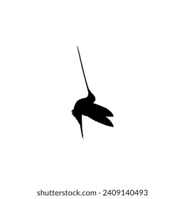 Flying Hummingbird Silhouette, can use Art Illustration, Website, Logo Gram, Pictogram or Graphic Design Element. Vector Illustration