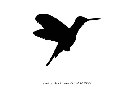 Flying Hummingbird Silhouette Design  And Vector Illustration. 