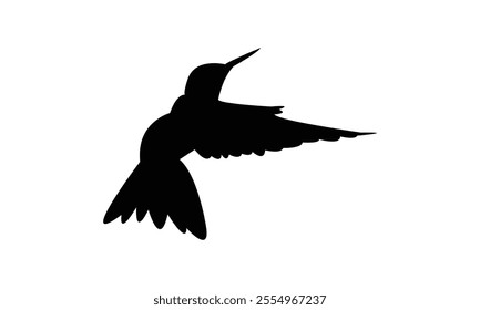 Flying Hummingbird Silhouette Design  And Vector Illustration. 