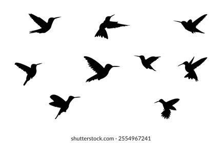 Flying Hummingbird Silhouette Design  And Vector Illustration. 