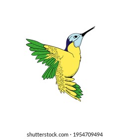 Flying hummingbird, tiny colibri with bright turquoise plumage vector Illustration on a white background. Vector illustration