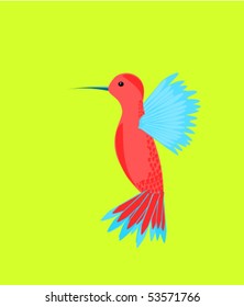 Flying hummingbird vector illustration