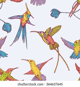 flying hummingbirds