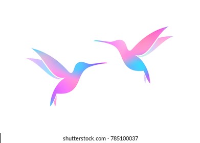 Flying hummingbirds. Colorful birds.  Isolated hummingbird on white background