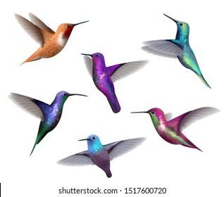 Flying hummingbirds. Little colored birds exotic jungle colored little hummingbirds vector realistic tropical collection