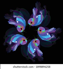 Flying hummingbirds. little colored birds exotic jungle colored little hummingbirds . hummingbird colorful beak