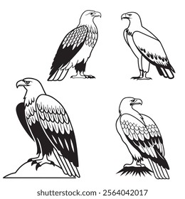 
flying hunting bald eagle black silhouette illustration design.