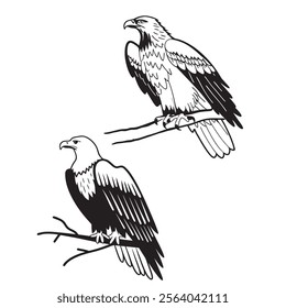 
flying hunting bald eagle black silhouette illustration design.