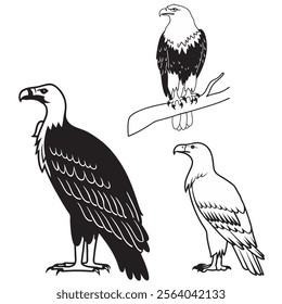 
flying hunting bald eagle black silhouette illustration design.