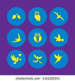 flying icon. 9 flying set with bird and bat vector icons for web and mobile app