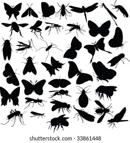 Flying insects