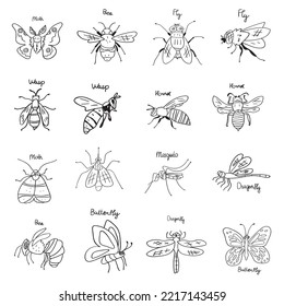 Flying insects collection. Outline vector illustrations on white background.
