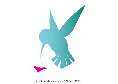 Flying isolated colorful hummingbird silhouette near the pink little flower. Isolated tropical bird for web and print