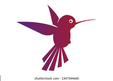 Flying isolated hummingbird with colorful dark red and violet wings and tail. Little wild exotic bird in flight.