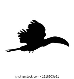 Flying Keel Billed Toucan Bird (Ramphastos Sulfuratus) On a Side View Silhouette Found In Map Of South America. Good To Use For Element Print Book, Animal Book and Animal Content