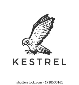 flying kestrel bird logo vector icon illustration