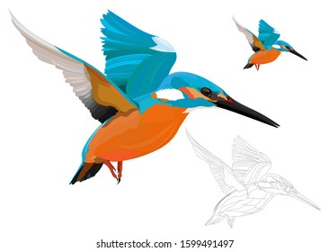 Flying Kingfisher. Colorful bird. Vector image. White background.