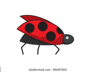 Flying lady beetle on the white background. Vector illustration.
