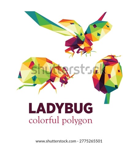 Flying Ladybug colorful polygonal low poly set. Collection of Ladybug colorful illustration. Flying ladybug colorful logo illustration set
