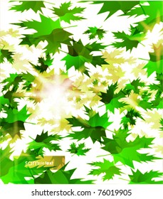 Flying leaves