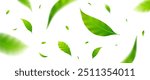 Flying leaves design, suitable for design elements
