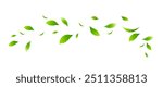 Flying leaves design, suitable for design elements