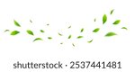 Flying leaves design, suitable for design elements