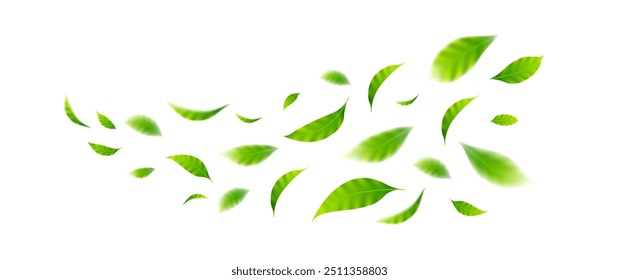 Flying leaves design, suitable for design elements