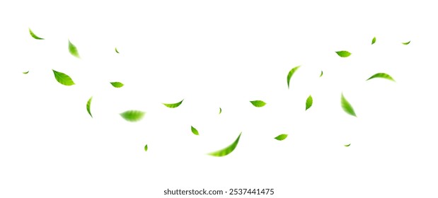 Flying leaves design, suitable for design elements