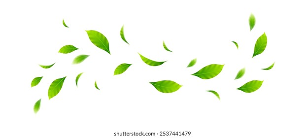 Flying leaves design, suitable for design elements