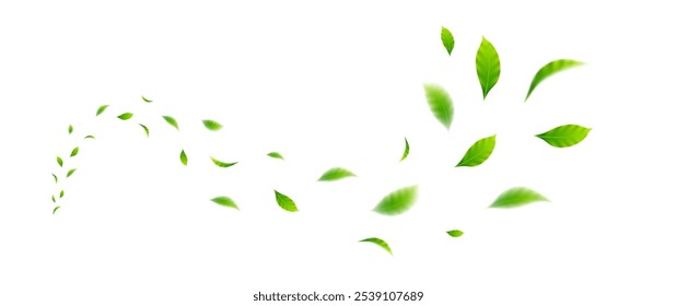 Flying leaves design, suitable for design elements