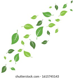 flying leaves logo vector template.design for background