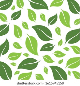 flying leaves logo vector template.design for background