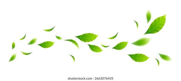 folhas voadoras sobre fundo branco para elementos de design
