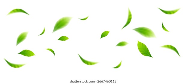 folhas voadoras sobre fundo branco para elementos de design