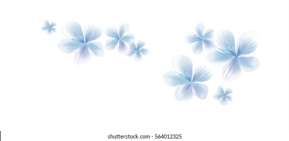 Flying light blue flowers isolated on white background. Apple-tree flowers. Cherry blossom. Vector