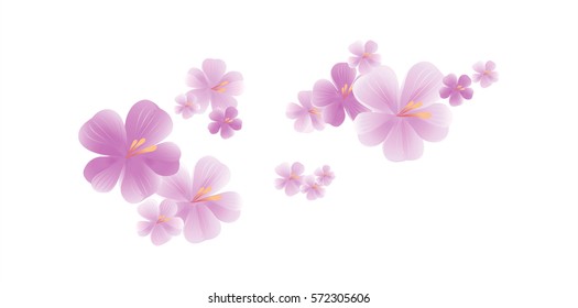 Flying light purple flowers isolated on white background. Apple-tree flowers. Cherry blossom. Vector