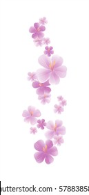 Flying light purple flowers isolated on white background. Apple-tree flowers. Cherry blossom. Vector.