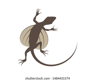 Flying Lizard, Draco Volans Silhouette