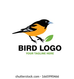 Flying logo elegant design logo dove dove. Pigeon or pigeon cosmetic dress. The perfect concept bird icon.